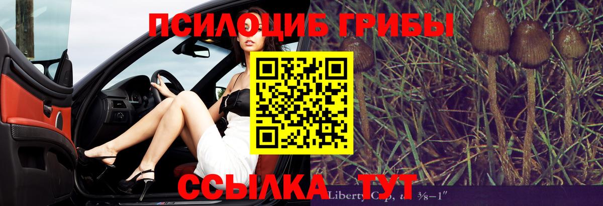 Галлюциногенные грибы мухоморы  Вход с VPN  Галлюциногенные грибы Psilocybine cubensis  Черногорск 